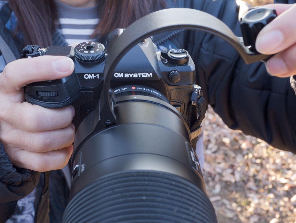 M.ZUIKO DIGITAL ED 100-400mm F5.0-6.3 IS II 野鳥撮影実写レビュー！