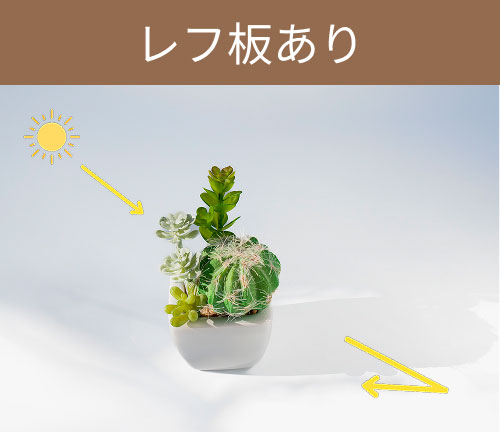 レフ板あり