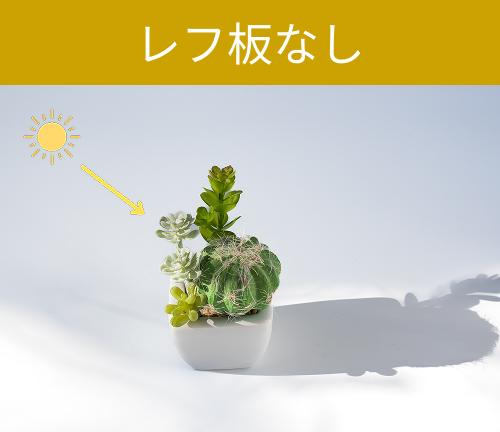 レフ板なし