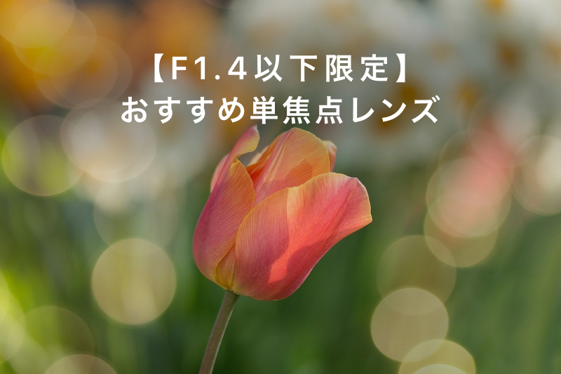 F1.4以下限定！おすすめ単焦点レンズ12選 | カメラ・レンズ選びと写真