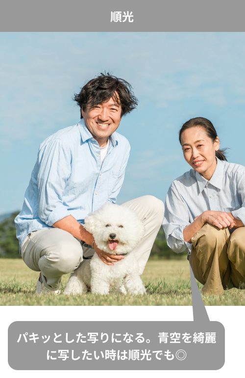 順光の解説