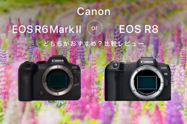 Canon EOS R8とEOS R6 Mark II比較レビュー！どっちがおすすめ？