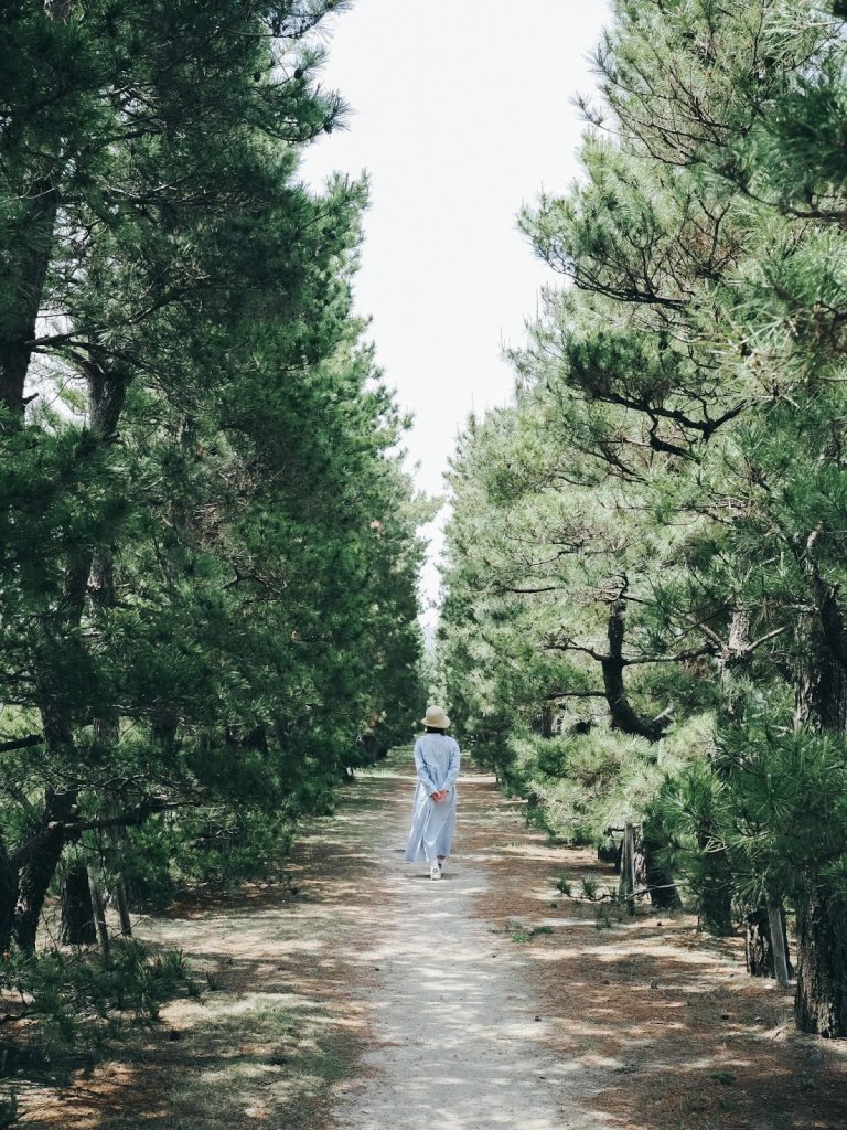 香川県・さぬき市 津田を撮る理由。OM SYSTEM OM-3と歩いた、“写真に残したくなる町”