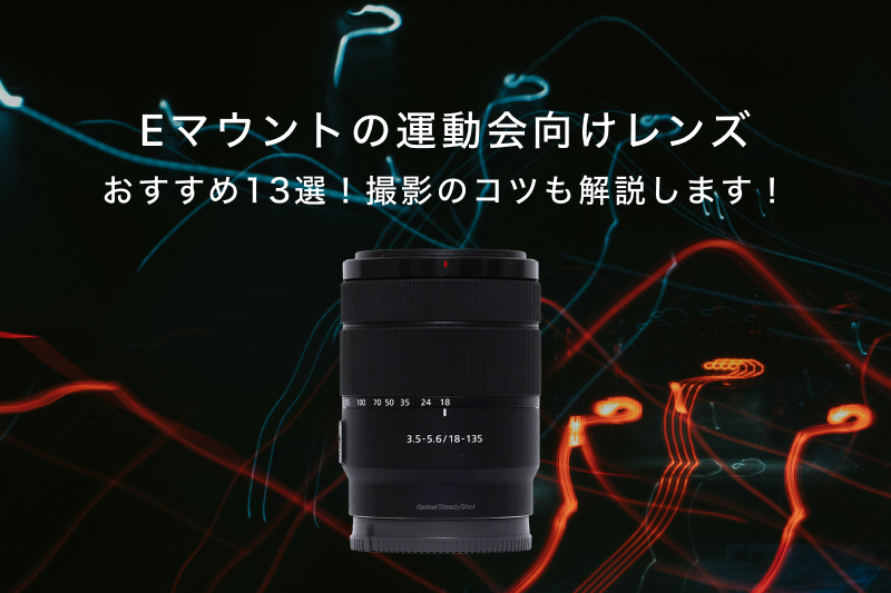 レンタル - SONY(ソニー)E 55-210mm F4.5-6.3 OSS SEL55210
