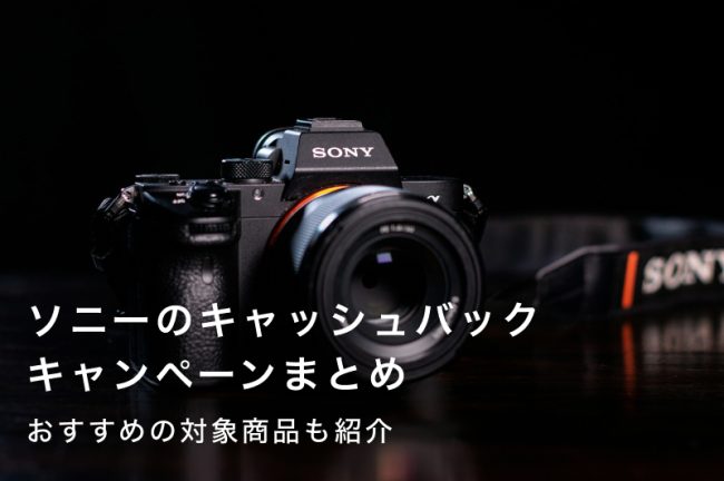 GOOPASS SONY 手ブレ補正対応ミラーレス＆F2.8通し標準ズームセット