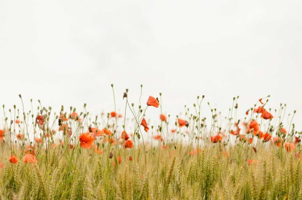 花