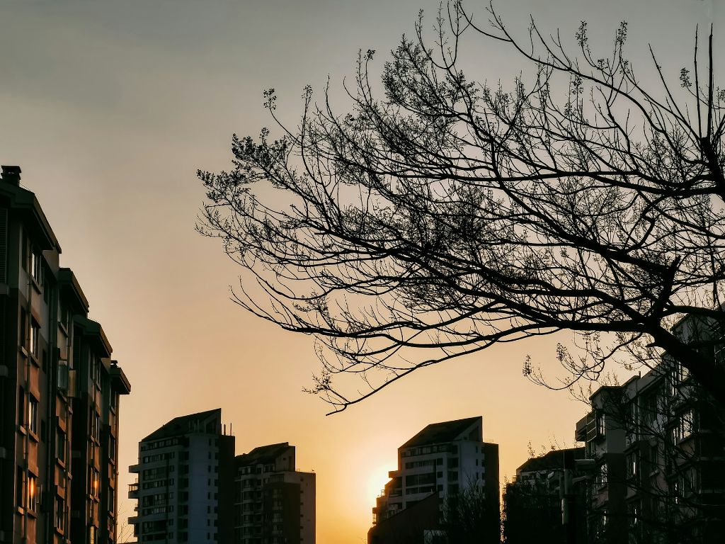 風景