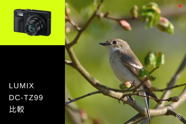 LUMIX DC-TZ99・ DC-TZ95D・X740 HSを比較！超高倍率ズームコンデジ3機種の違いと選び方