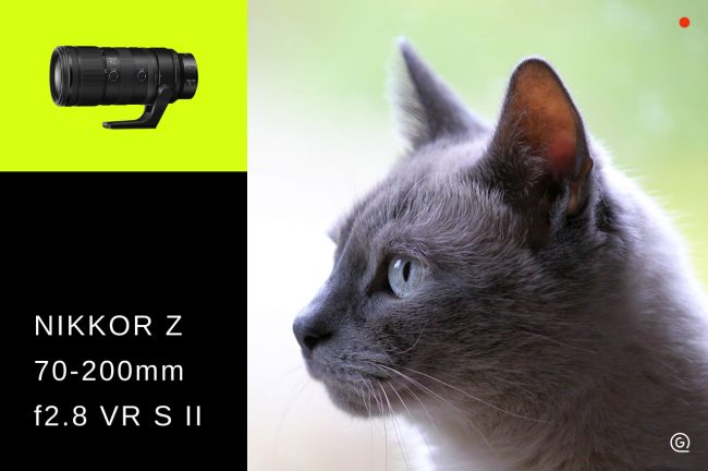NIKKOR Z 70-200mm F2.8 VR S IIを前モデル・ライバル機と比較！選ぶポイントも解説