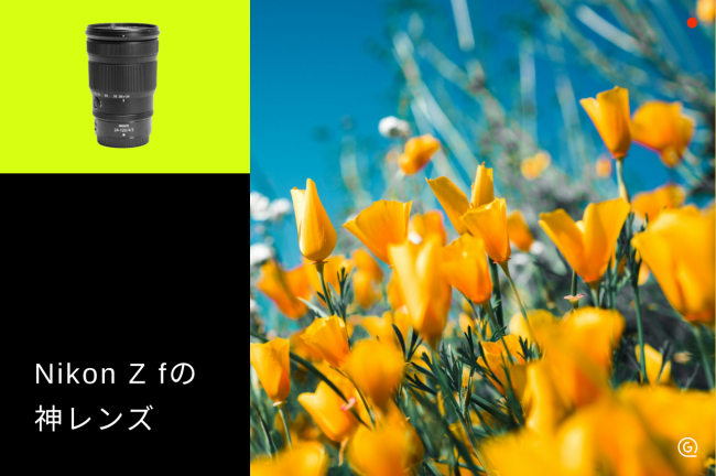 Nikon Z fの神レンズおすすめ9選！被写体別に最適な1本を紹介【2026年最新】