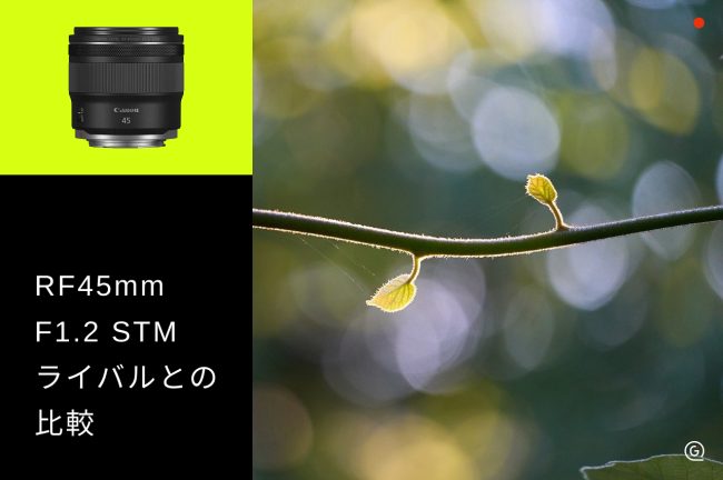 Canon RF45mm F1.2・RF50mm F1.8・RF35mm F1.8 Macroを比較！選び方のポイントも解説