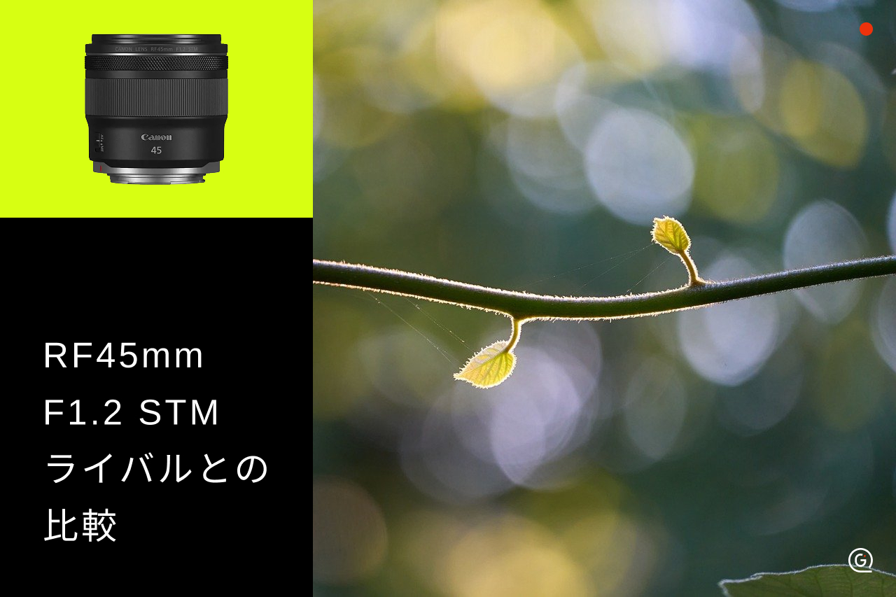 Canon RF45mm F1.2・RF50mm F1.8・RF35mm F1.8 Macroを比較！選び方の 