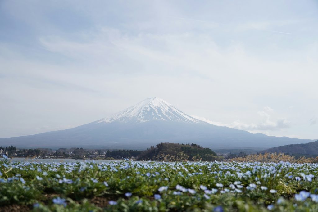 NIKKOR Z 28-75mm f/2.8とタムロン28-75mm G2の違いを比較