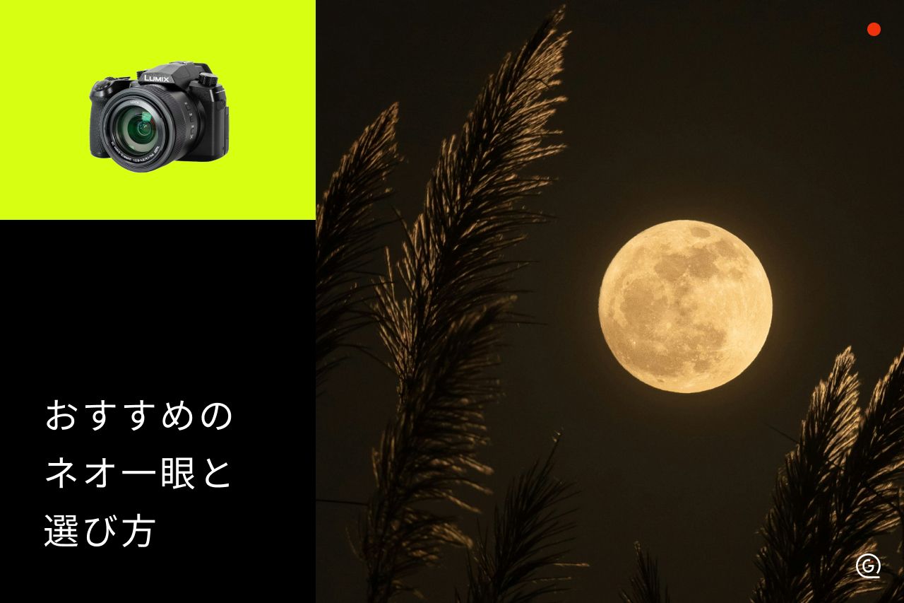 ネオ一眼のおすすめ7選！超望遠撮影ができるコンデジの選び方 | カメラ