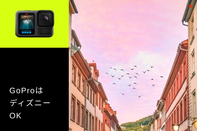 GoPro（ゴープロ）はディズニーに持ち込みできる？ルールと失敗しないカメラの設定を解説