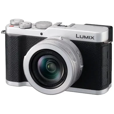 LUMIX L10