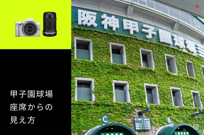 【阪神甲子園球場】座席からの見え方をチェックして推し活を楽しむコツ