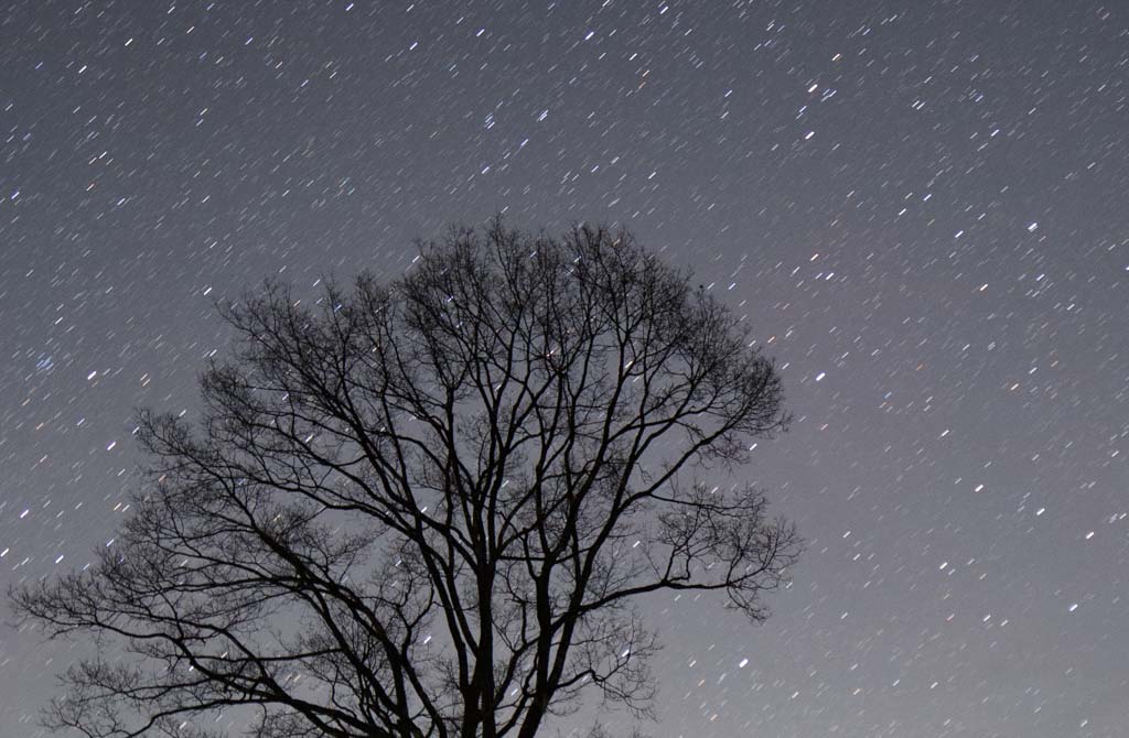 流れた星