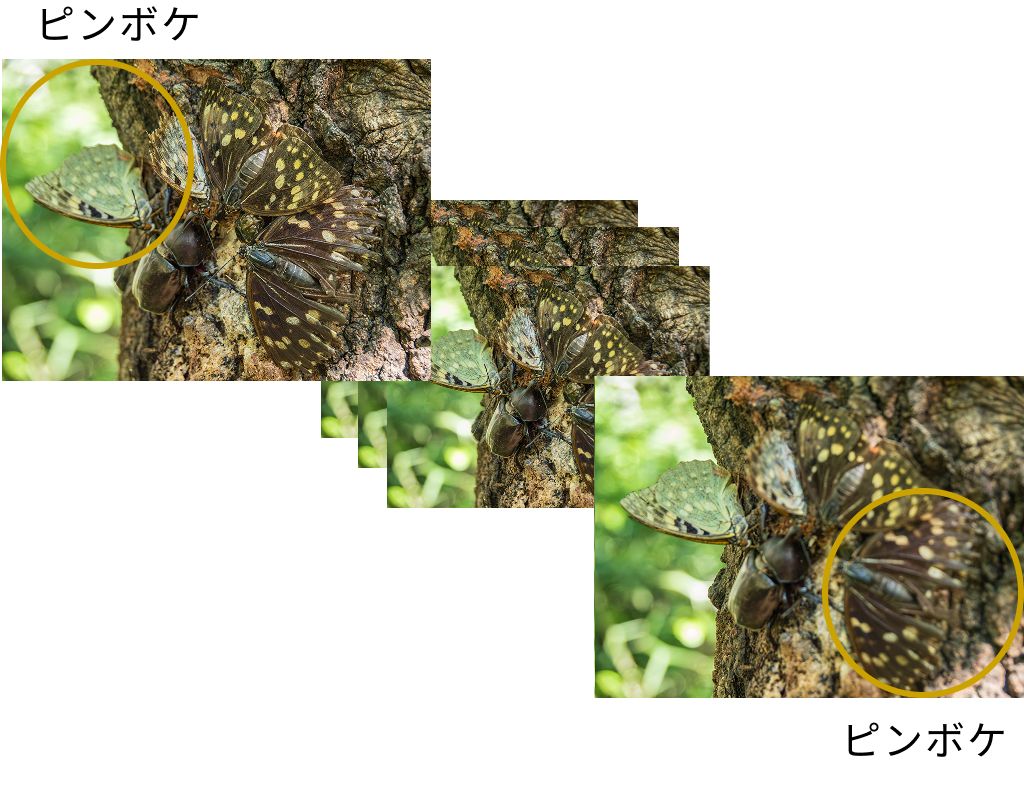 被写界深度合成