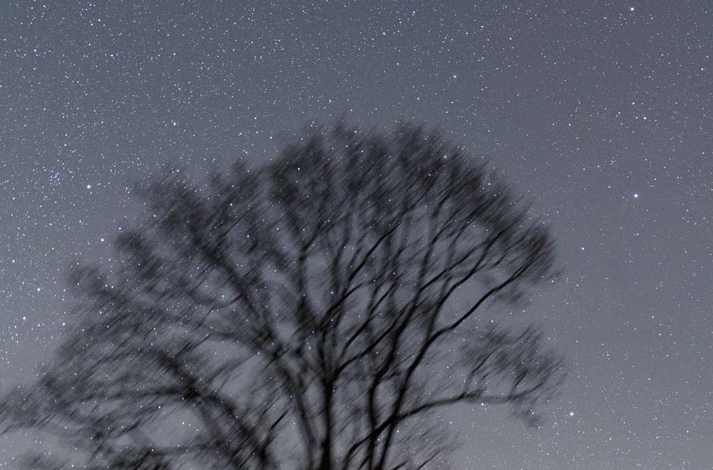 星